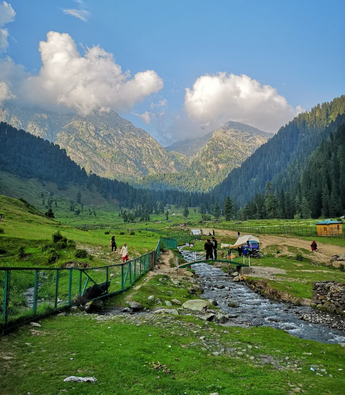 Untitled (700 x 800 px) (18) Kashmir Romantic Holiday – 4N/5D - Image 1