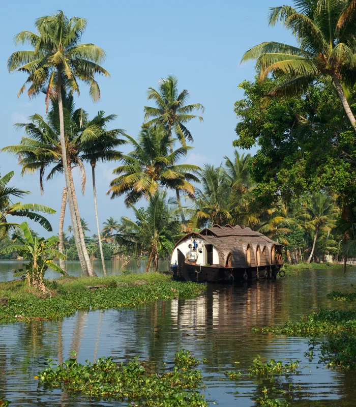 Untitled (700 x 800 px) (5) Kerala Solo Retreat – 4N/5D - Image 1